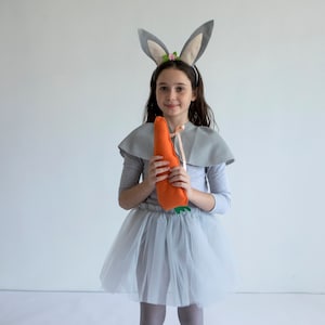 Greay Rabbit, Bunny Costume For Girls