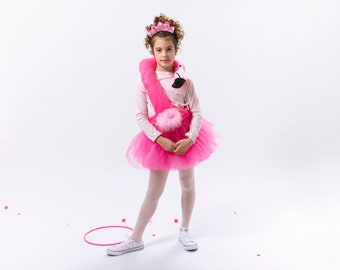 Girl's Flamingo Costume, Pink  Princess Dress For Halloween