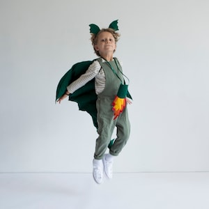 Sweet Dragon Costume For Kids