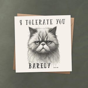 Funny &quot;I Tolerate You Barely&quot; Cat Greeting Card – Cheeky Sarcastic Greeting for Humor, Friendship, or Lighthearted Fun - Grumpy Cat Art