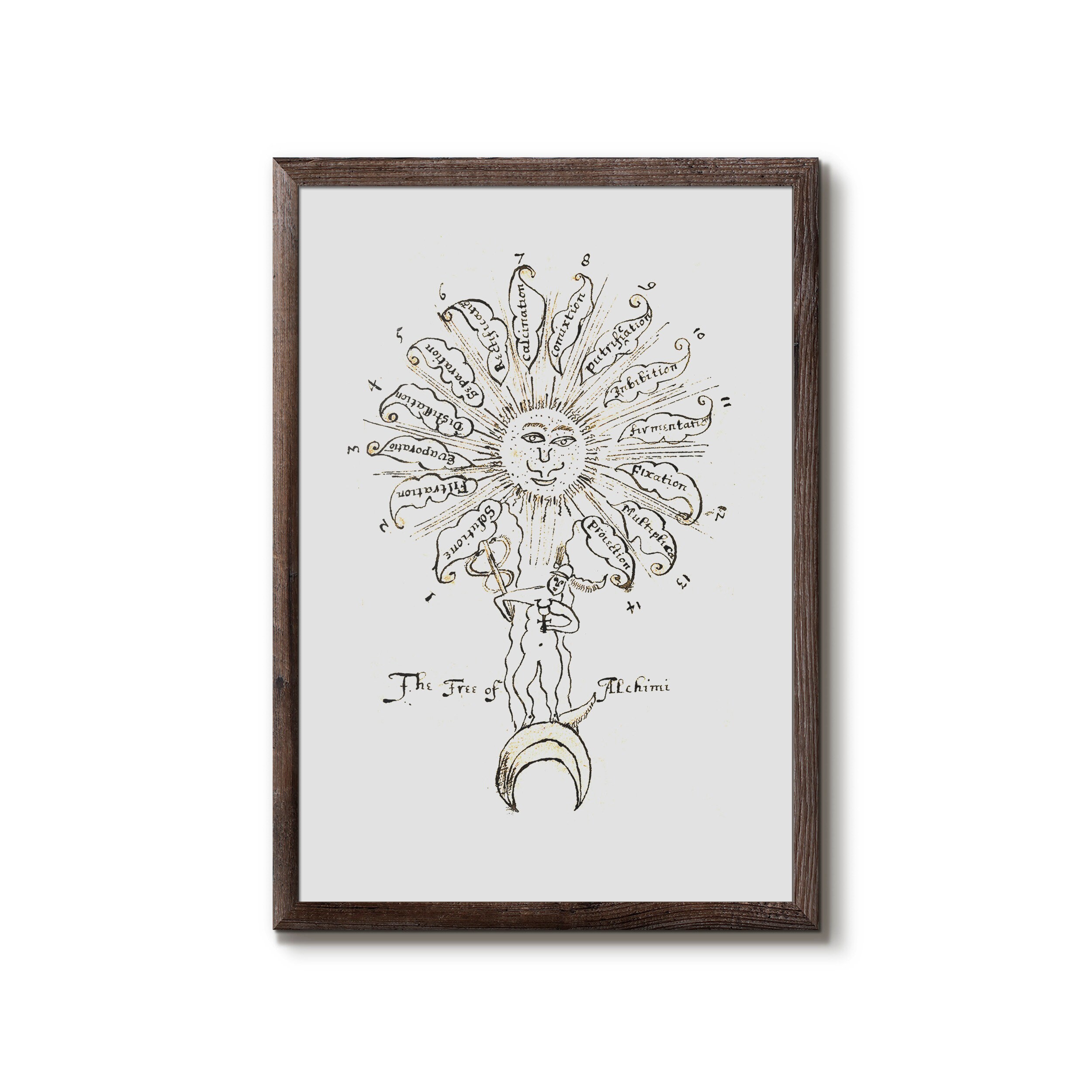 Tree of Alchimi From the Key of Alchemy by Samuel Norton - Etsy