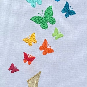 Rainbow Butterflies Stole