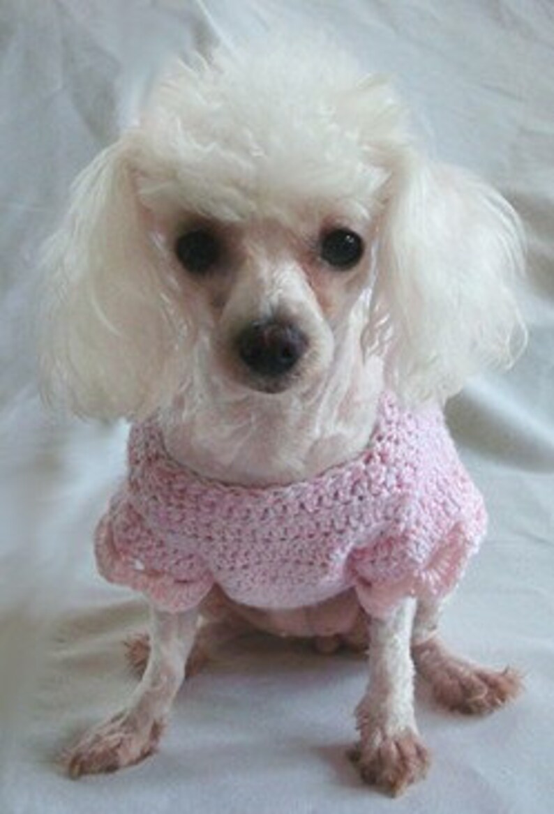 CROCHET PATTERN dog shirt crochet pattern Little Bo Etsy
