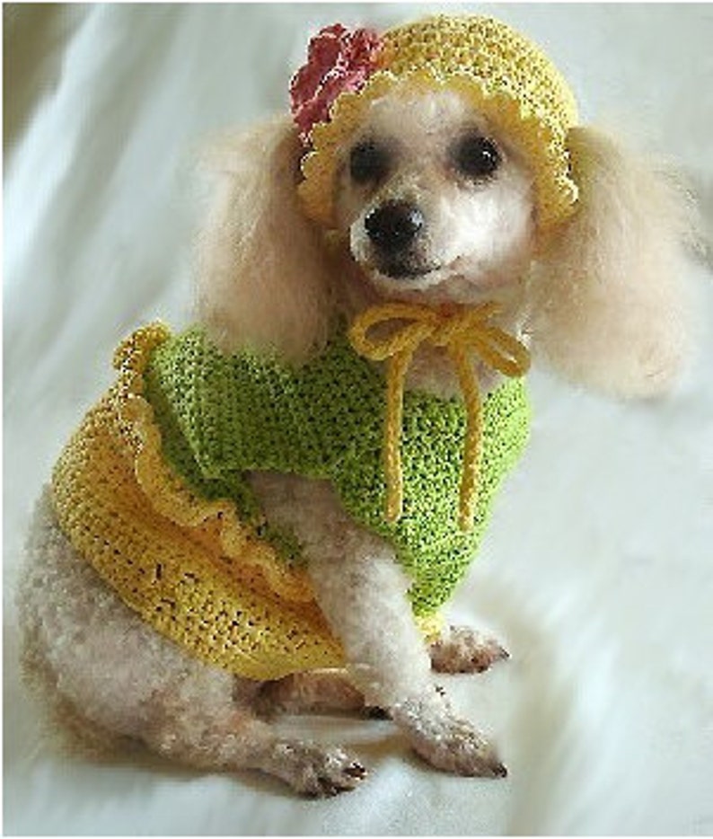CROCHET PATTERN Summertime Dog Outfit Crochet Etsy