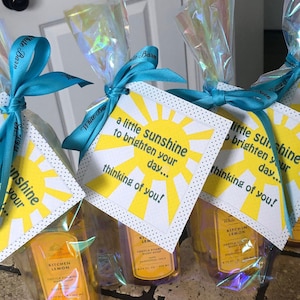 Afdrukbaar SUNSHINE-cadeaukaartje / een beetje zonneschijn om je dag op te fleuren... / Cadeau vriend / Cadeau leraar waardering