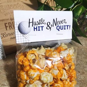 Pode incluir: Um saco de pl&aacute;stico transparente cheio de pipocas cor de laranja e brancas, selado com um topo de papel branco com um gr&aacute;fico de uma bola de voleibol e o texto preto "Hustle, HIT & Never, QUIT!" em fontes script e sem serifa.