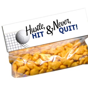 Pode incluir: Um saco pl&aacute;stico transparente cheio de biscoitos salgados laranja em forma de peixe, com um cart&atilde;o de cabe&ccedil;alho branco apresentando um gr&aacute;fico preto e azul de uma bola de v&ocirc;lei e rede, com o texto "Hustle, HIT & Never, QUIT!" em preto e azul.