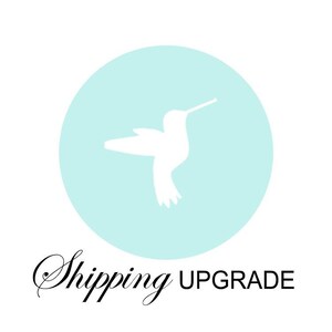 AGGIORNAMENTO della spedizione per gli ordini Hive Printables / Scelte disponibili nel menu a discesa