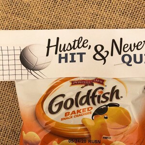 Pode incluir: Um pacote de biscoitos salgados assados Goldfish da Pepperidge Farm com um topo de papel branco apresentando um gr&aacute;fico de voleibol, uma rede e o texto Hustle, HIT & Never QUIT em letras pretas e azuis sobre um fundo bege texturizado.