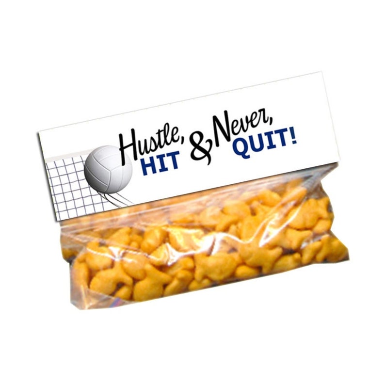 Pode incluir: Um saco pl&aacute;stico transparente cheio de biscoitos salgados laranja em forma de peixe, com um cart&atilde;o de cabe&ccedil;alho branco apresentando um gr&aacute;fico preto e azul de uma bola de v&ocirc;lei e rede, com o texto "Hustle, HIT & Never, QUIT!" em preto e azul.