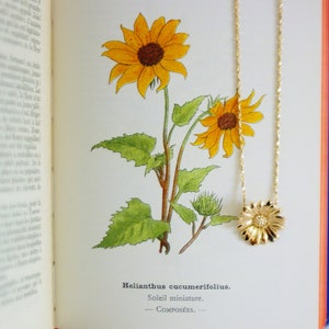 May include: A gold necklace with a sunflower pendant charm. The necklace is laying on an open book with a botanical illustration of sunflowers.