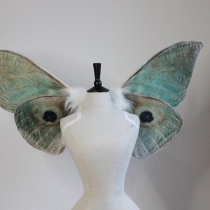 May include: A pair of large, moth-inspired wings featuring a soft teal and brown gradient with prominent dark circular eyespots. The wings are attached to a white fabric mannequin torso and are accented with white faux fur at the base of each wing.