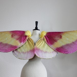 Pu&ograve; includere: Un paio di ali di falena caratterizzate da una consistenza morbida e felpata con un motivo sfumato di magenta vibrante e giallo pallido. Le ali sono fissate a un punto centrale con piccoli ciuffi gialli soffici alla base.