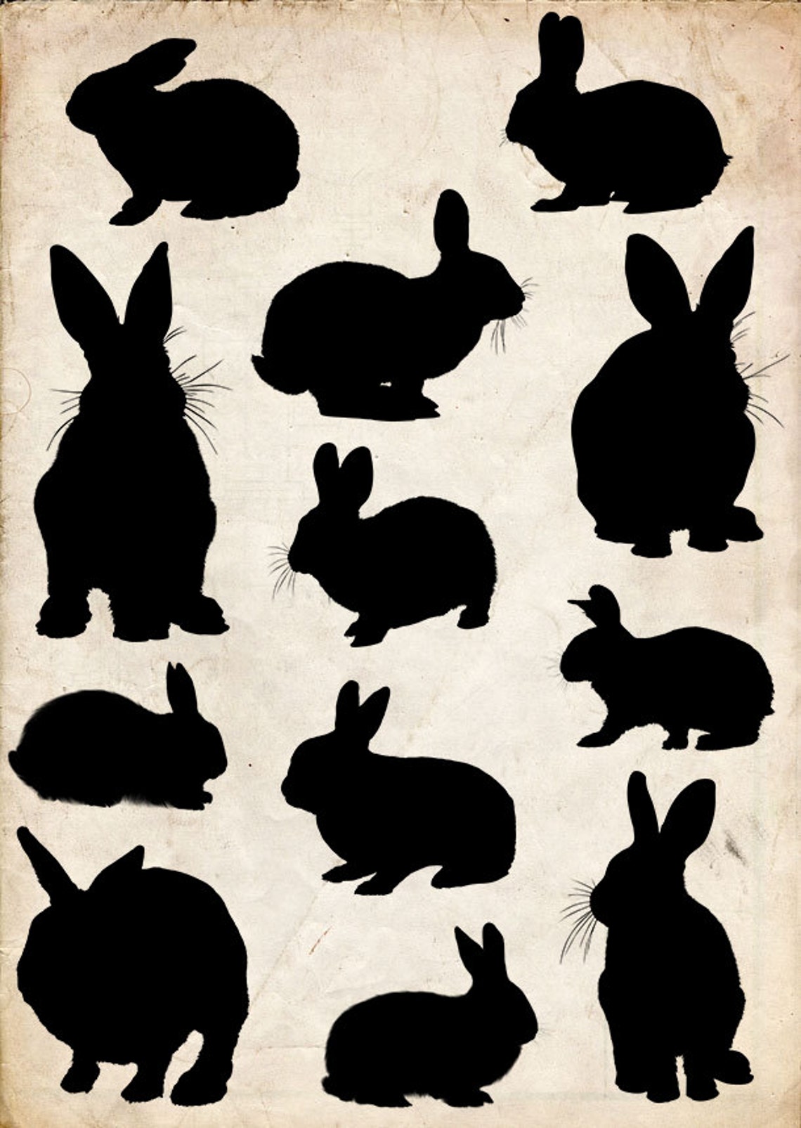 Kaninchen Silhouette ClipArt, 12 Png Clipart, Instant Download