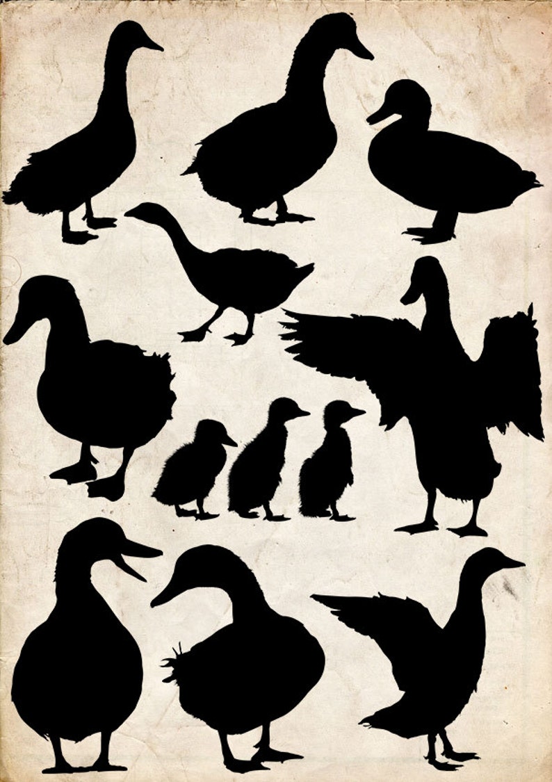 Duck Silhouette clip art 20 png Clipart Instant Download Etsy