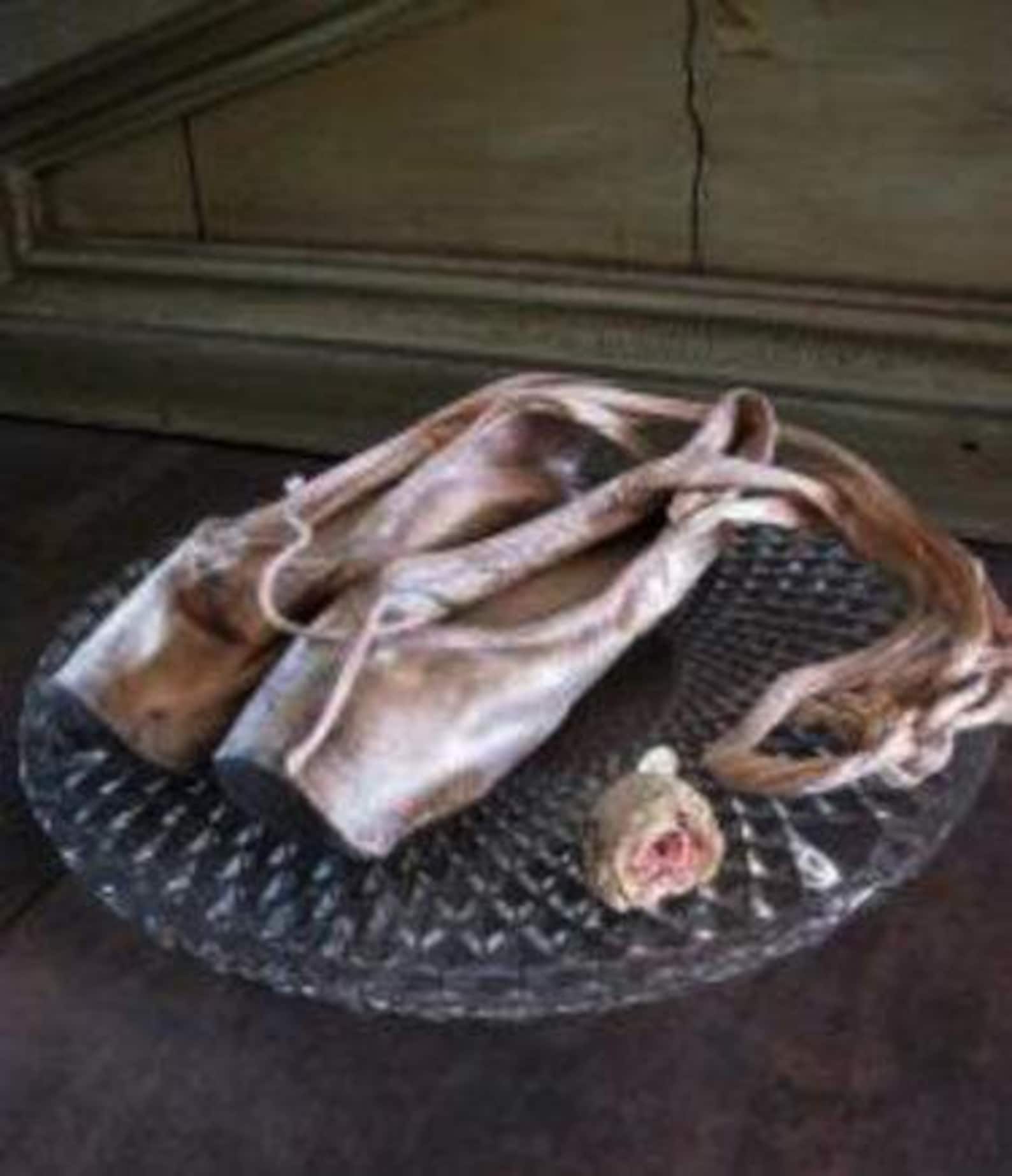 ballet pointe shoes dance shoes pointe shoes ballet pointe shoes dance shoes pointe shoes