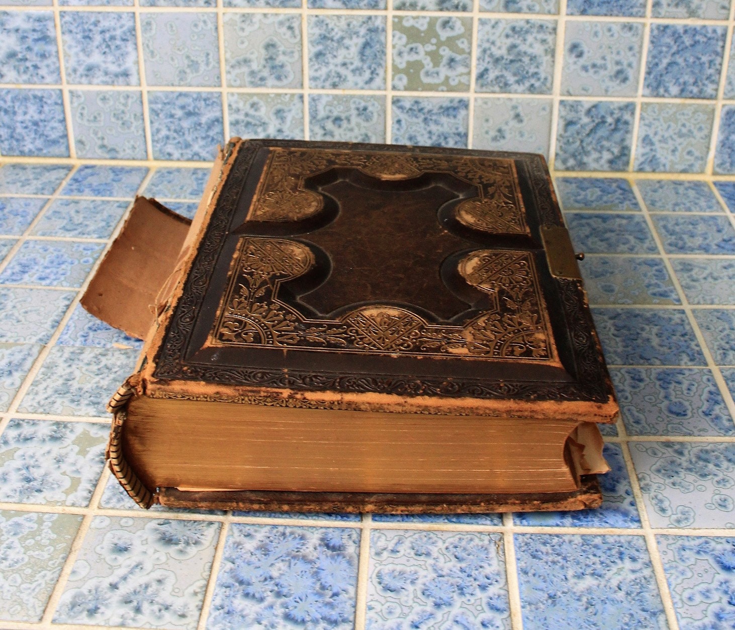 Large, rare Antique Holy Bible 1886,