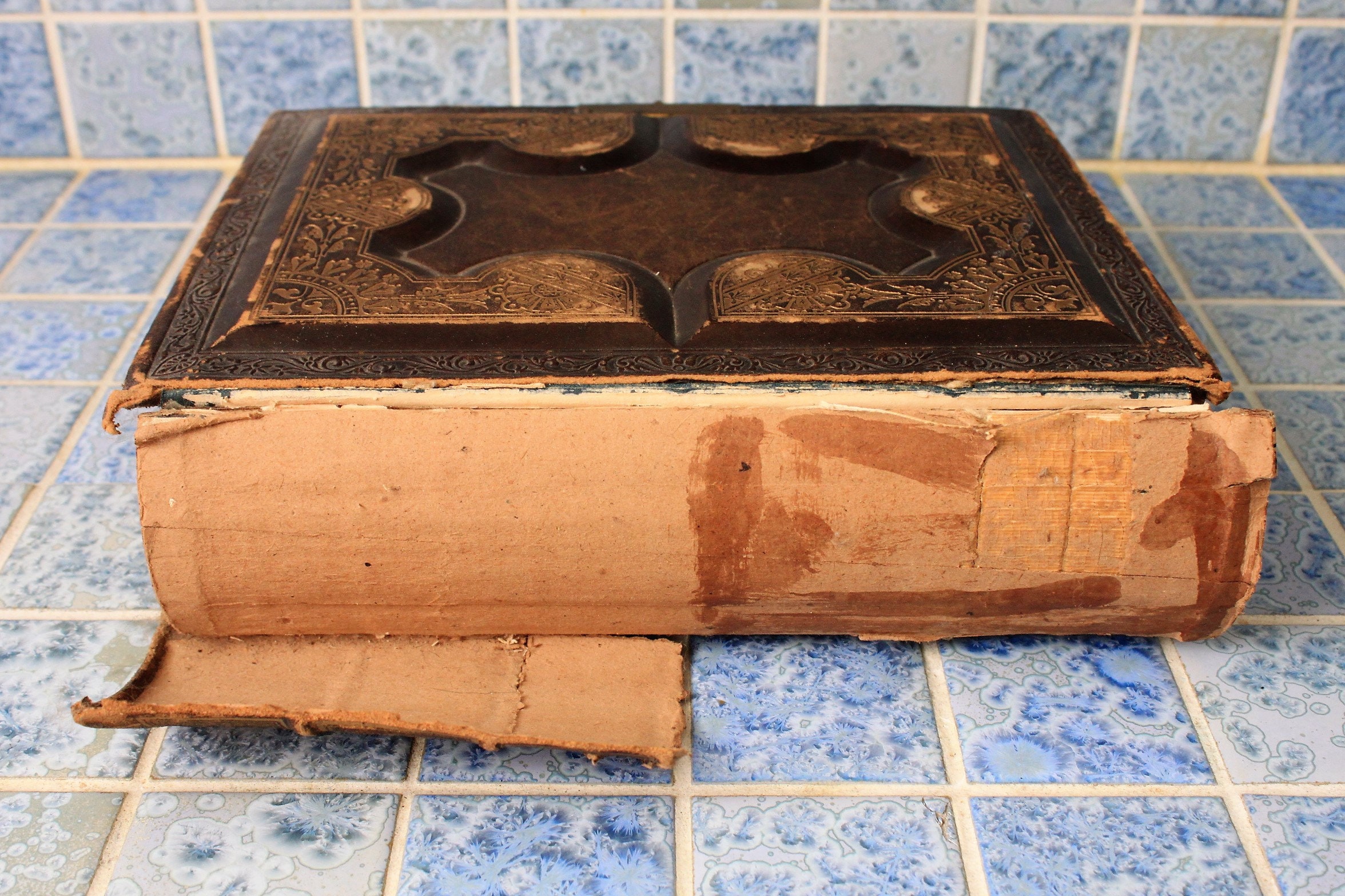 Large, rare Antique Holy Bible 1886,