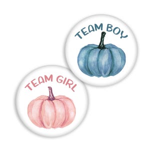 Pumpkin Gender Reveal Pins, Team Boy/Girl, Button Party Favors