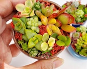 2.25 quot Mini Miniature Pot Ceramic Succulent Bonsai Cactus Planter Flowerpot Container