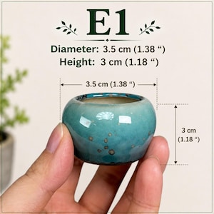 Style E1 Mini Bonsai Planter – Tiny Ceramic Pot with Drainage Hole Miniature Bonsai Container Fairy Garden & Succulent Pot Under 5 cm POTE