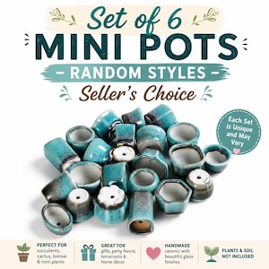 May include: A set of six mini pots featuring various shapes and sizes with a teal and dark blue reactive glaze finish. The text reads Set of 6 MINI POTS - RANDOM STYLES - Seller's Choice, along with notes about unique sets and plant exclusion.