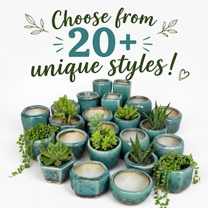 May include: A collection of small, teal-glazed ceramic planters in various geometric shapes, some containing green succulents and trailing plants. The text above the pots reads, Choose from 20+ unique styles!, accompanied by small leaf and heart illustrations.