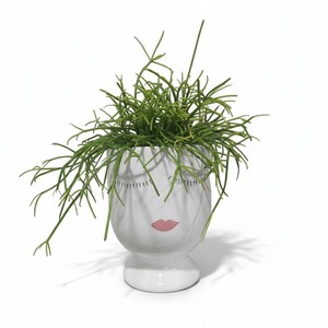 May include: A white ceramic planter shaped like a face, with closed eyes and pink lips, holding a green plant with thin, branch-like stems. The planter has a pedestal base and is set against a white background.