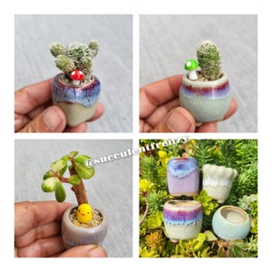 May include: Assortment of small ceramic pots with succulents and miniature figurines. The pots are decorated with a variety of colors and patterns. The succulents are green and the figurines are red, green, and yellow.