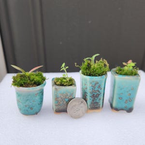D1-4 Mini Bonsai Planter – Tiny Ceramic Pot with Drainage Hole | Miniature Bonsai Container | Fairy Garden & Succulent Pot | Under 5 cm