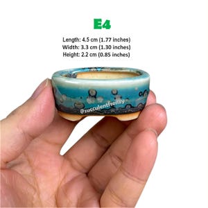 May include: A small oval ceramic bonsai pot labeled E4 with a blue and cream crystalline glaze. The pot measures 1.77 inches in length, 1.30 inches in width, and 0.85 inches in height. The text succulentfrenzy is printed on the side of the pot.