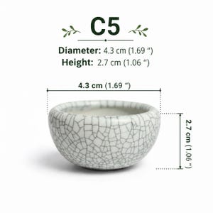 Style C5 Mini Bonsai Planter – Tiny Ceramic Pot with Drainage Hole Miniature Bonsai Container Fairy Garden & Succulent Pot Under 5 cm