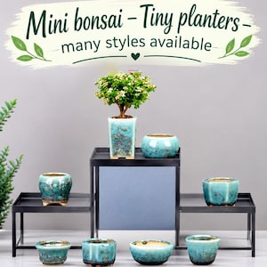 May include: A collection of small ceramic planters in shades of turquoise and blue with speckled patterns, displayed on a tiered black metal stand. The text "Mini bonsai - Tiny planters - many styles available" is visible at the top.