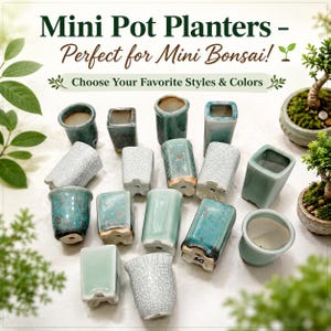 May include: A collection of small ceramic planters in various shapes and shades of green, blue, and white. Some feature a crackled glaze finish, while others have a smooth, solid color. Text reads: Mini Pot Planters - Perfect for Mini Bonsai!