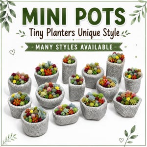 May include: A collection of small, white ceramic planters with a dark crackle glaze finish, each filled with a variety of colorful, multi-textured succulents. The text MINI POTS, Tiny Planters Unique Style, and MANY STYLES AVAILABLE is visible.