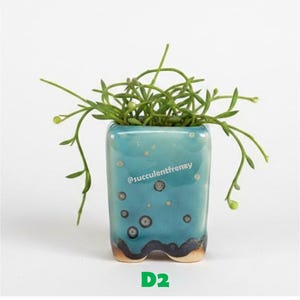 May include: A square ceramic planter with a glossy teal glaze featuring dark blue and white circular crystalline patterns and a dark blue base. A trailing green succulent plant grows from the top. The text @succulentfrenzy and D2 are visible.