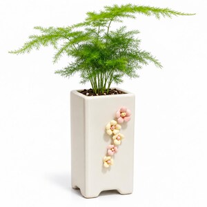 May include: A tall, rectangular, off-white ceramic planter featuring a vertical arrangement of small, raised, pastel-colored flower decorations in shades of pink and yellow, containing a vibrant green asparagus fern plant with feathery foliage.