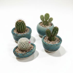E1-4 Mini Bonsai Planter – Tiny Ceramic Pot with Drainage Hole | Miniature Bonsai Container | Fairy Garden & Succulent Pot | Under 5 cm