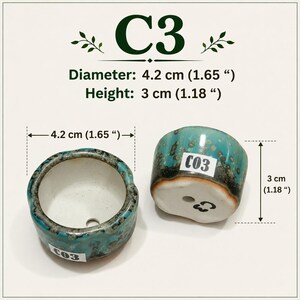 Style C3  Micro Mini Bonsai Planter – Tiny Ceramic Pot  Drainage Hole | Miniature Bonsai | Succulent Pot | Under 5 cm PotC