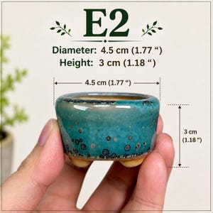 Style E2 Mini Bonsai Planter – Tiny Ceramic Pot with Drainage Hole Miniature Bonsai Container Fairy Garden & Succulent Pot Under 5 cm POTE