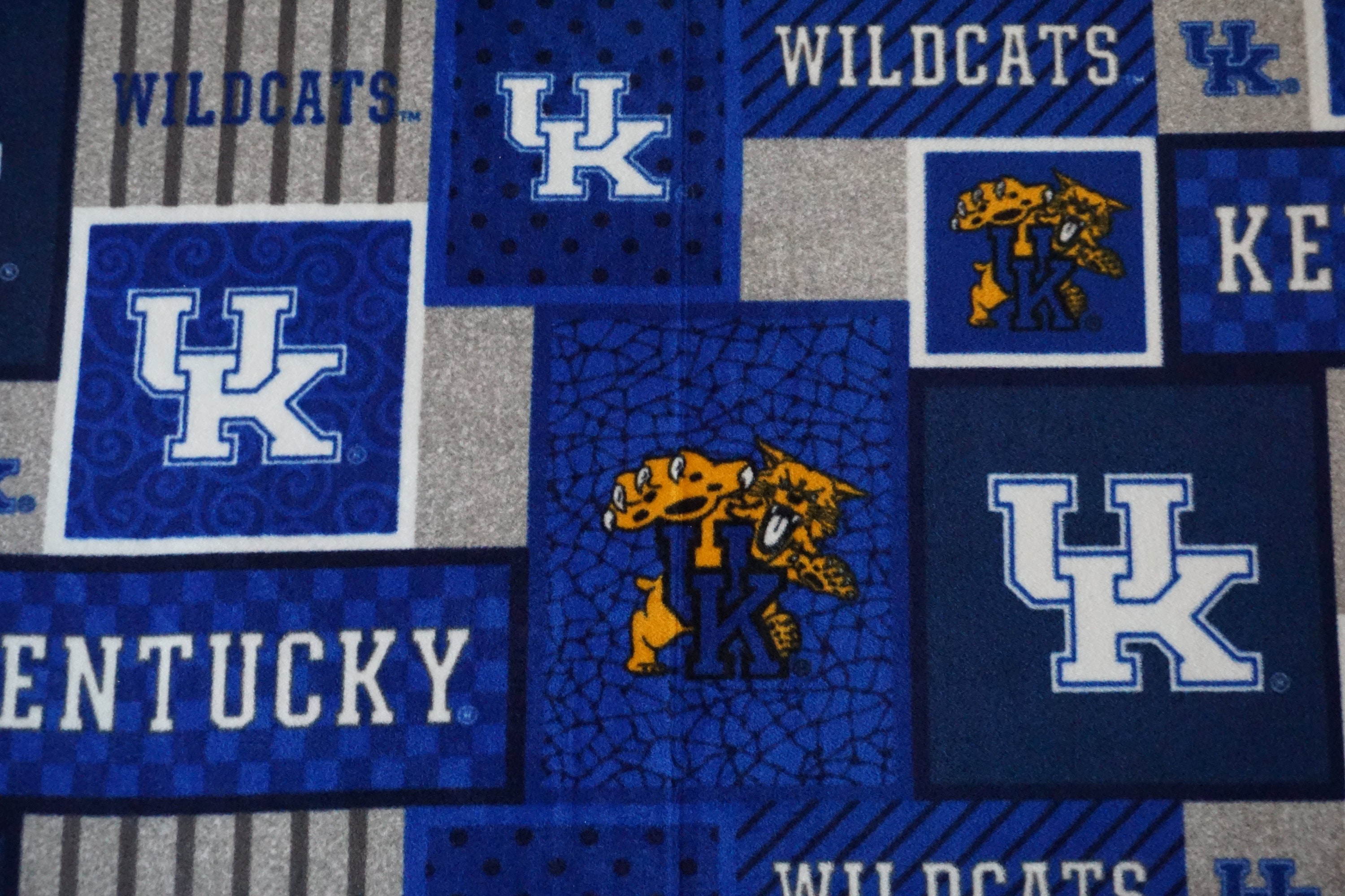 University of Kentucky Wildcats No Sew Fleece Blanket Etsy