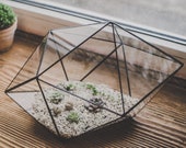 Succulent Terrarium Large Strange shape Stained Glass Vase Leosklo