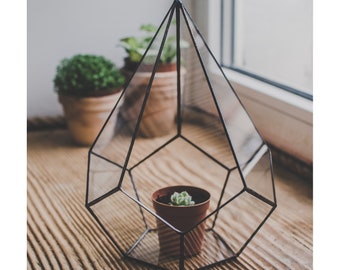 Geometric Succulent terrarium teardrop Succulent flowerpot Small glass terrarium Fairygarden terrarium Indoor garden Geometric planter