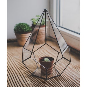Geometric Succulent terrarium teardrop Succulent flowerpot Small glass terrarium Fairygarden terrarium Indoor garden Geometric planter