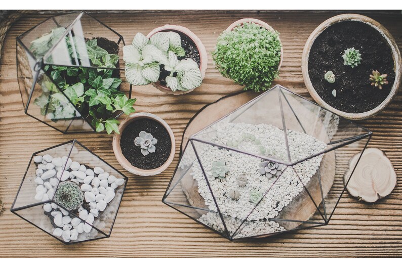 Succulent Terrarium Large Strange shape Stained Glass Vase Etsy