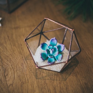 Mini succulent terrarium Christmas gift Icosahedron Glass Terrarium Small geometric terrarium Black terrarium Wedding decor glass