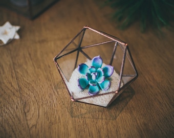 Mini succulent terrarium Christmas gift Icosahedron Glass Terrarium Small geometric terrarium Black terrarium Wedding decor glass