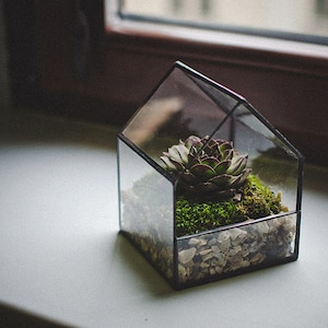 Petite maison de fée Terrarium Petite maison Maison de vitraux géométrique Décoration intérieure Planteur pour le jardinage intérieur Succulent Moss Fairy garden