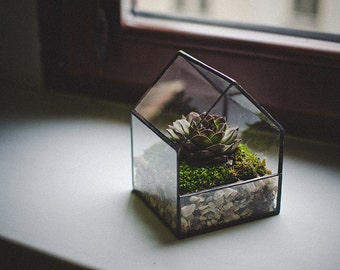 Glass house Terrarium Small House Stained glass decoration geometric Home decor Planter for indoor gardening Succulent Moss Fairy garden