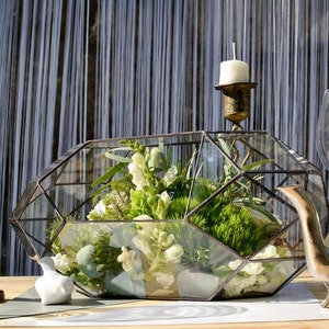 terrarium